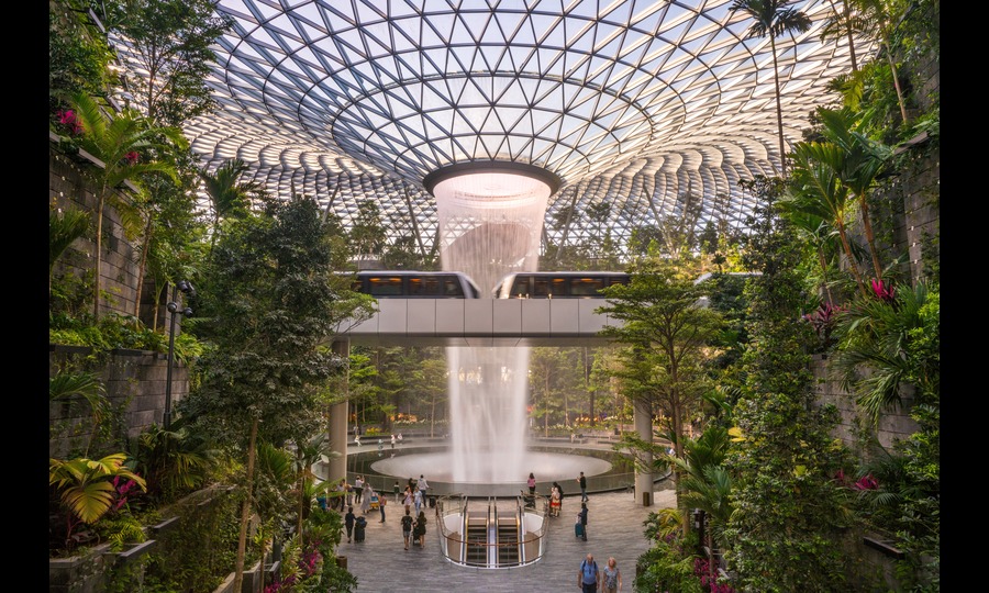 Asian Feast With Singapore & Thailand